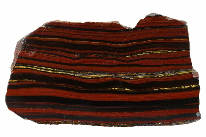 Polished Tiger Iron Stromatolite Slab - Billion Years #162097
